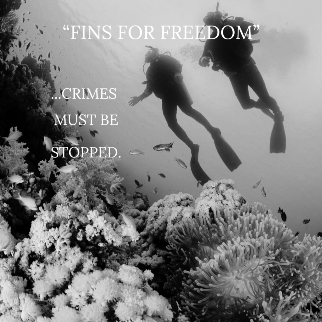Black and white image of snorkelers. White text overlay. 